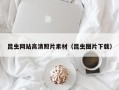 嘉鱼昆虫网站高清照片素材（昆虫图片下载）